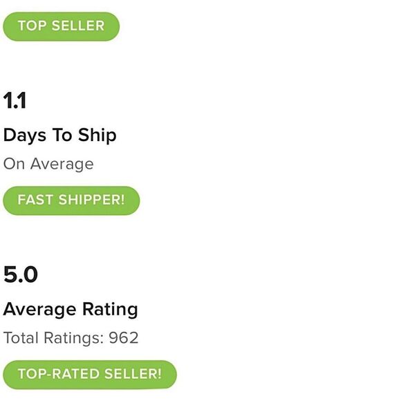 BODEN Dress Black Tropic Charm Shirtdress Size 8 • NEW WITH TAGS • - Picture 15 of 15